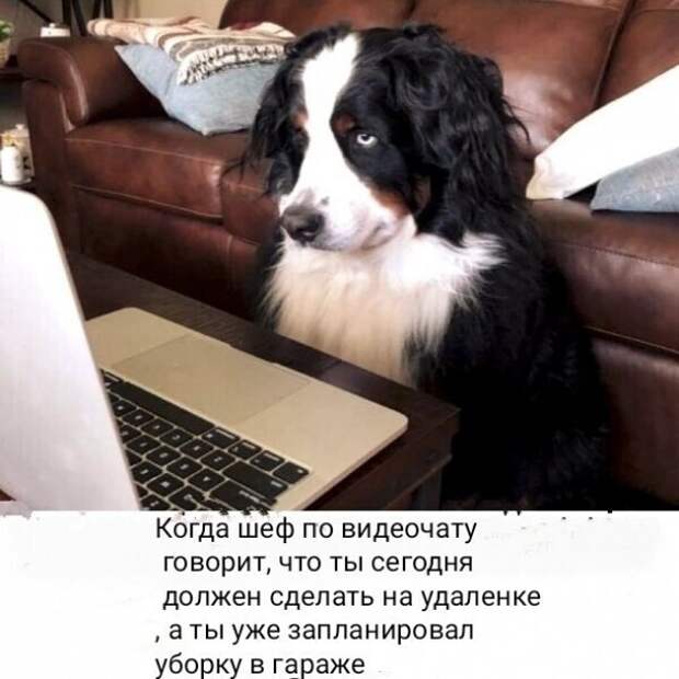 Привет всем, кто работает на удаленке Привет всем, кто работает на удаленке