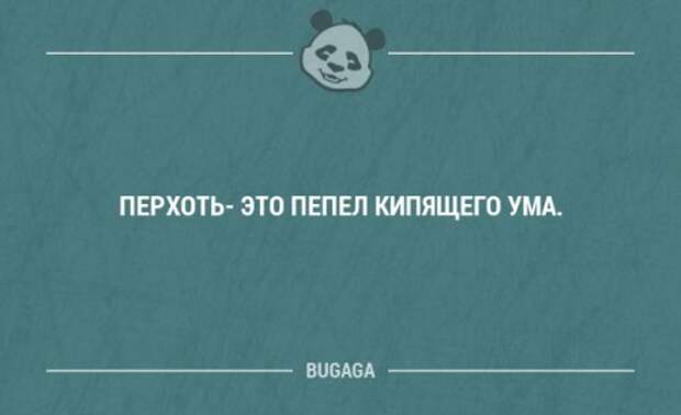Забавные мысли и высказывания. Часть 79 (16 шт)