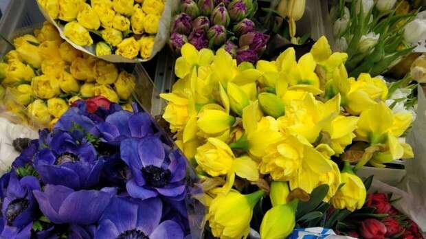 Назван самый недооцененный цветок в букетах к 8 Марта