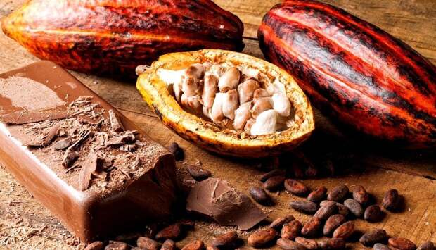 Какао против депрессии и лишнего веса: разбираем полезные свойства