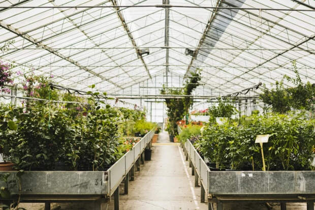 Ошибка при монтаже теплицы, из-за которой меняют поликарбонат