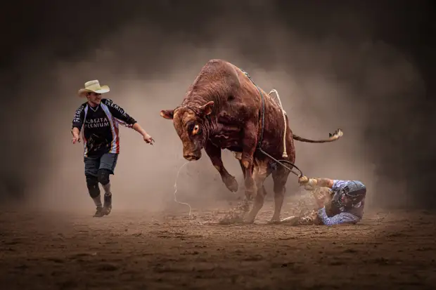 Конкурс Sony World Photography Awards 2022