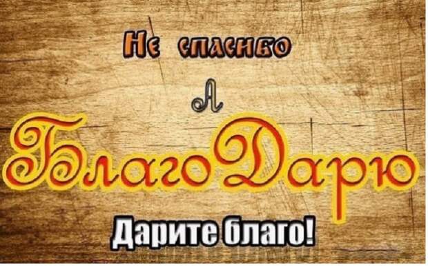 Не стоит часто говорить слово «спасибо»: мнение исследователей