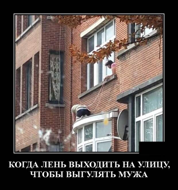 Демотиваторы (30 фото)