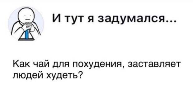 Веселые рассуждения, шутки и замечания от пользователей Сети