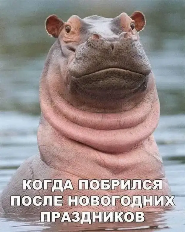 Быть 25-летним - это проклятье. 20-летние считают, что ты дед и тебе скоро пора помирать, а 30-летние - что ты жизни не нюхал, щенок Привет, потому, значит, отважный, сообразительный, стекло, говорит, разбили, молча, Говорит, солдат, исподнем, сельчане, сбежались, Стоят, возвращается, разойтисьПьяный, сонные, Значит, ругаются