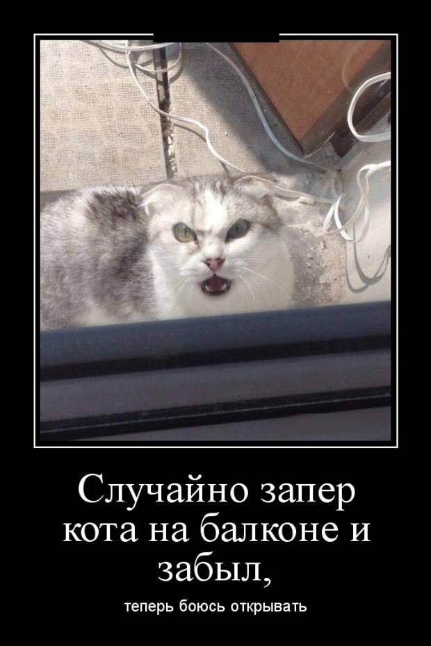 Демотиваторы (30 фото)