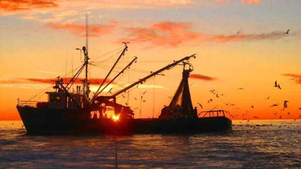 Санкционный бумеранг: Россия посадит европейцев на безрыбную диету