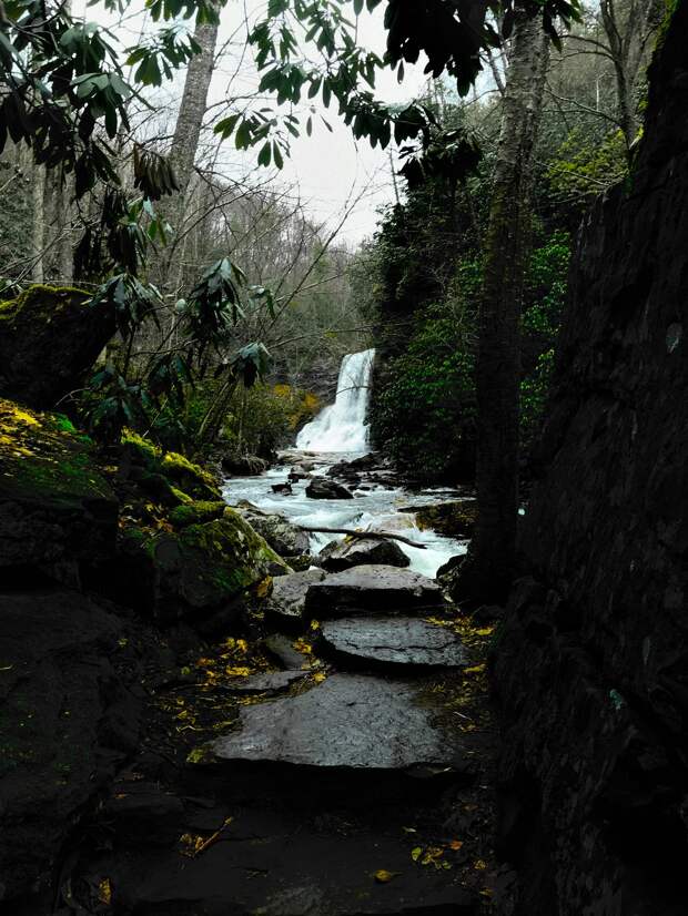 Красота природы на фотографиях