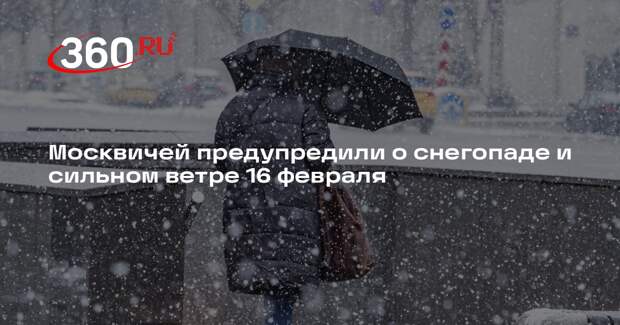 Москвичей предупредили о снегопаде и сильном ветре 16 февраля