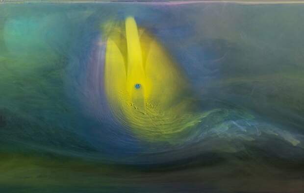 Дельфин. Автор: Kim Keever.