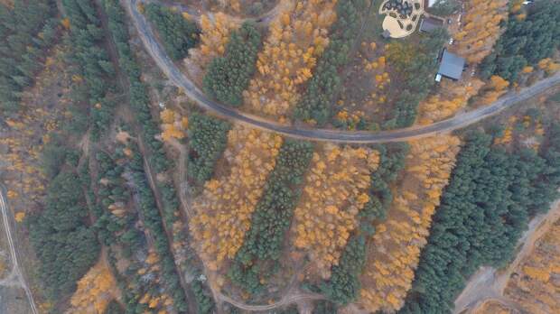 В Тульской области владельца сельхозземли оштрафовали за неиспользование участка