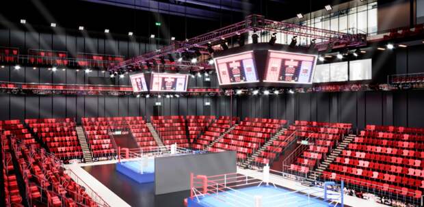 Центры самбо и бокса в Лужниках откроют в первой половине 2022 года