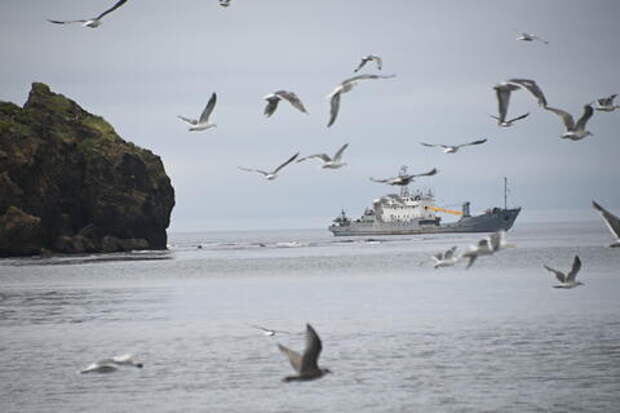 В Геленджике сорвался со скалы чемпион Белоруссии по мотогонкам