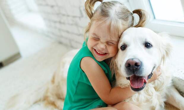 Как подготовить ребенка к появлению питомца в доме