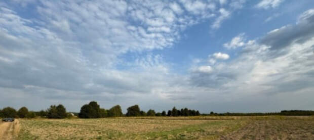 Закон о множественном гражданстве повышает риски конфискации земельных участков и огородов у украинцев