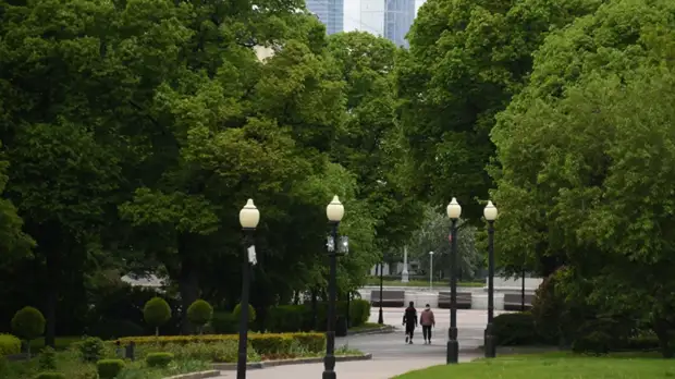 Синоптик рассказала о погоде в Москве в начале сентября