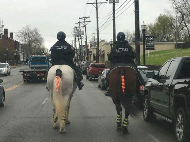 Офицеры полиции со светоотражающими хвостами