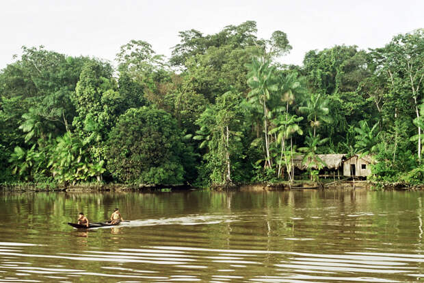 Река Амазонка фото