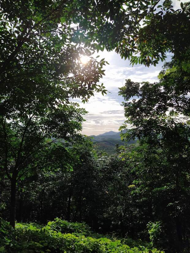 Красота природы на фотографиях