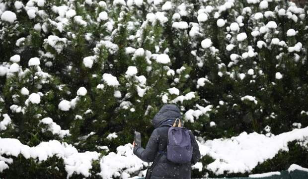 Синоптик Леус: Существенное понижение атмосферного давления ожидается в Москве в ночь на среду