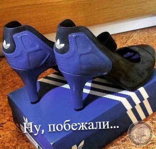 Ну, побежали!..