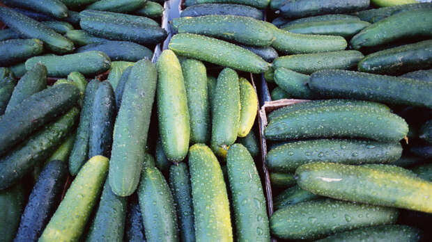 KП: в Новосибирске ограничили продажу огурцов в одни руки