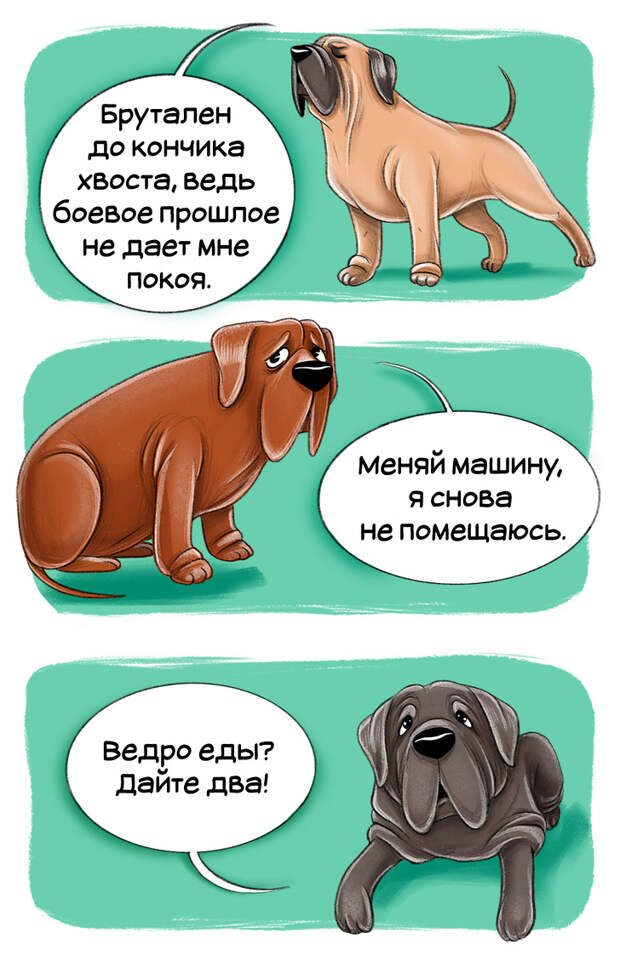 Честный гид по породам собак от первого лица (Часть 2-я)