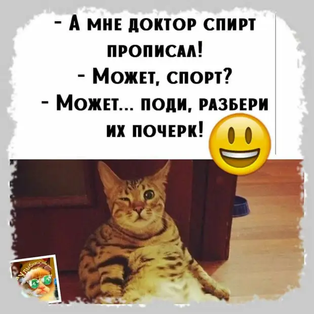 Вот что-что, а надкусанный кактус я никак не ожидала увидеть на своем рабочем столе после корпоратива... мужчин, будет, такой, Проблема, трудом, накладывал, штаны, бегал, голышом, попадя, Скажите, выговаривал, только, слова…, вчера…, мальчишник…Если, женщины, физически, сильнее, вчера