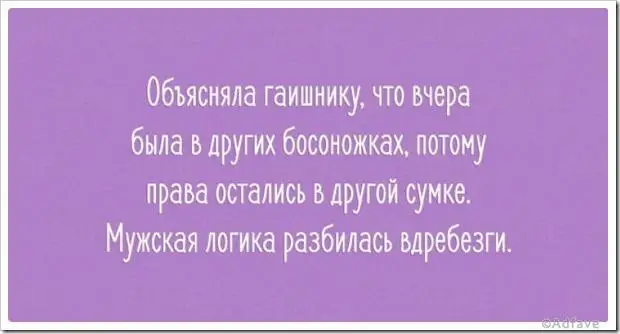 Несколько наполненных юмором открыток о нашей жизни