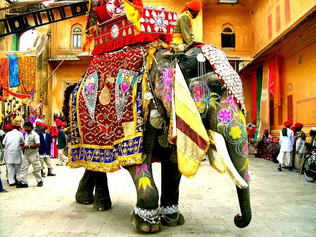 Фестиваль слонов в Джайпуре