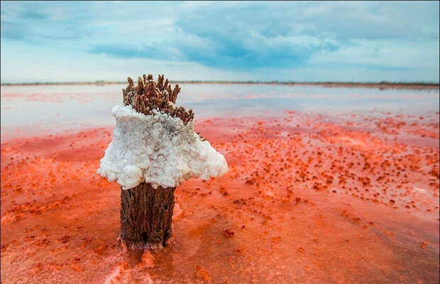 Великолепие крымского «гнилого моря», пейзажи которого так похожи на марсианские: 25 фотографий озера Сиваш