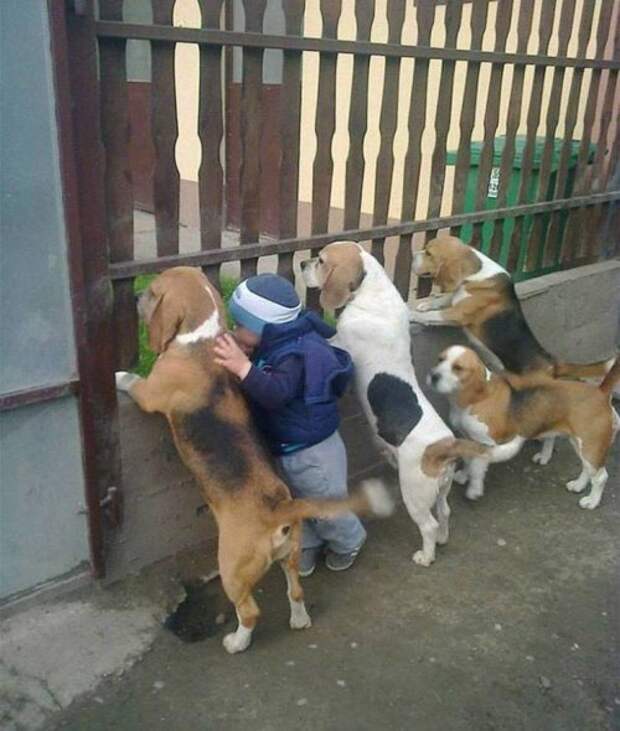 Эмоции и настроение в фотографиях