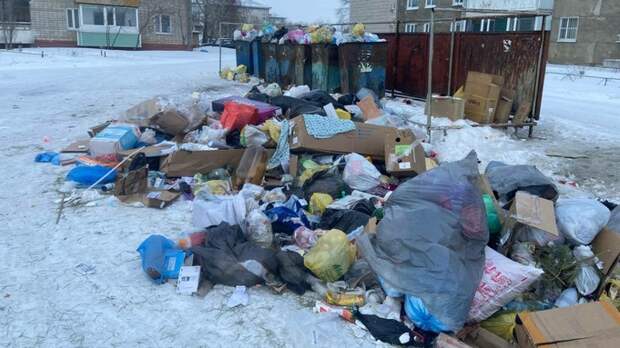 Славгород и Яровое тонут в мусоре: ЛДПР бьет тревогу