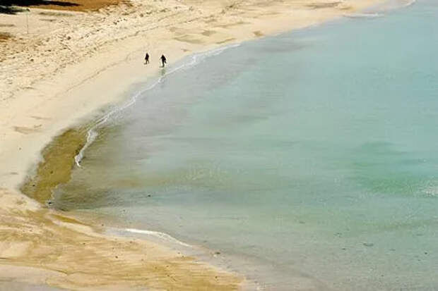 Житель деревни обнаружил на берегу «инопланетного монстра» и убежал