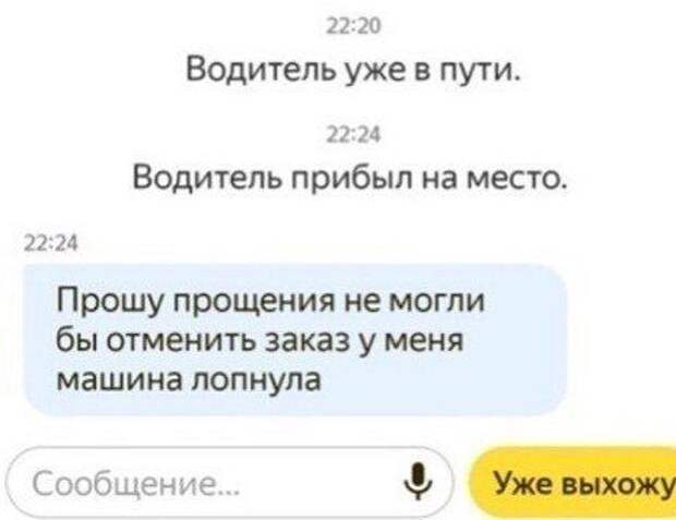 205083_3_trinixy_ru.jpg