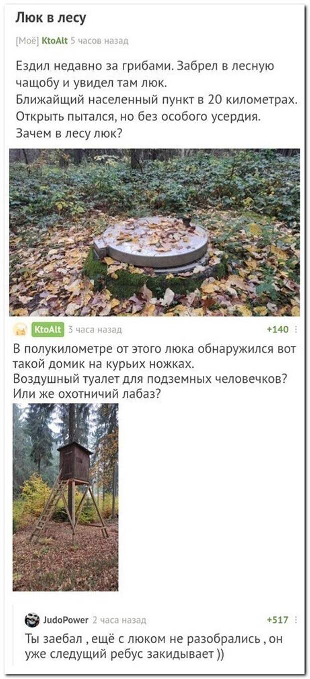 Люк в лесу ) Люк в лесу )