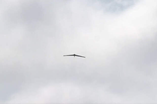 В Польше подтвердили информацию о сбитом под Люблином беспилотнике