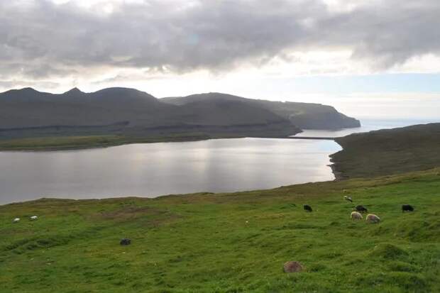Фарерские острова были заселены за 350 лет до прихода викингов