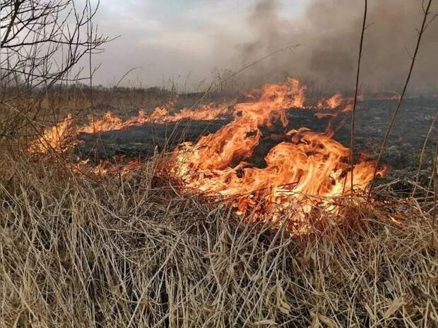 Пожар около торгового центра в Чите оказался отжигами