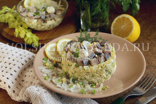 salat norvezhskij s seldyu 14