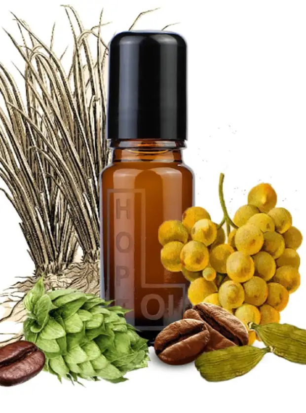 С гарденией, лавандой или арбузом: топ-5 парфюмов на весну от российских брендов