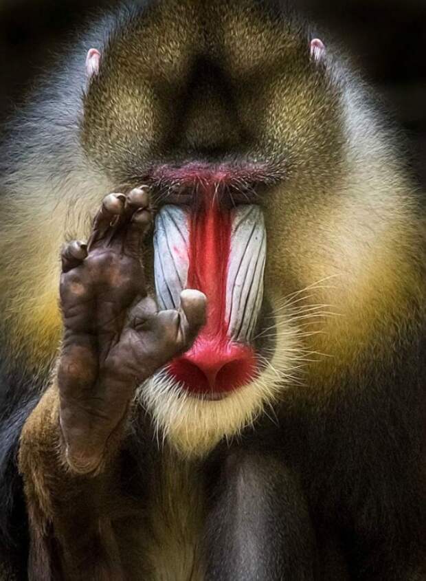 20 удивительных фотографий, которые доказывают, что природа круче любого Фотошопа