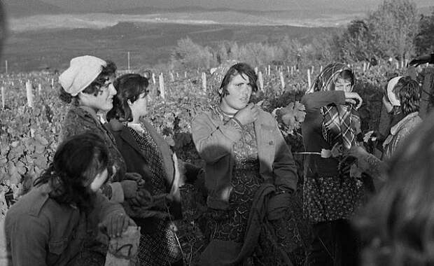 Фотография: Повседневная жизнь в советской Грузии 1976 года в фотографиях шведского фотографа №36 - BigPicture.ru