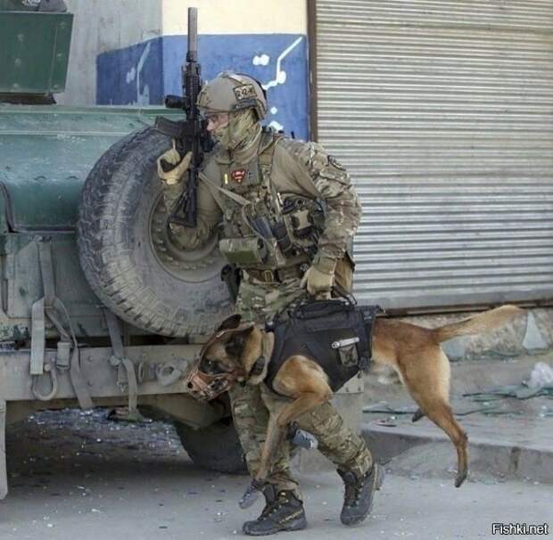 66ce5108d51e47f27a4ebe7b59a5470b (600x587, 187Kb)