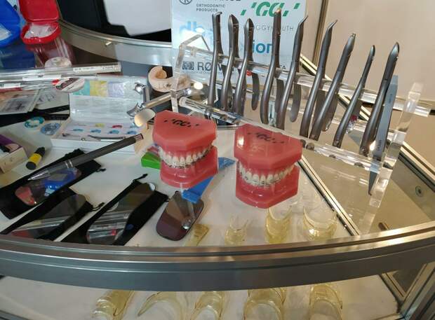 Зуб за маткапитал: оплачивать лечение зубов можно будет маткапиталом