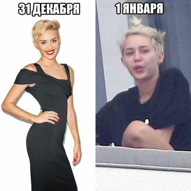 Смешные новогодние фото