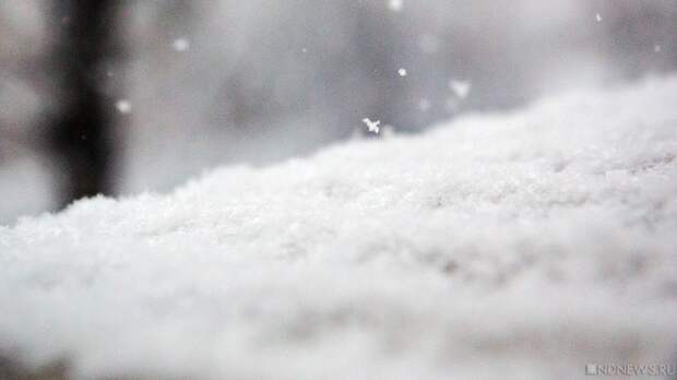 Снежный рекорд: Гидрометцентр предупредил о продолжении снегопада в Москве