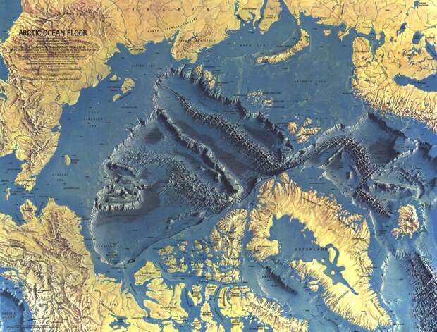 Карта океанического дна Северного Ледовитого океана.