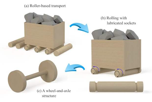 Flow chart showing the key stages of the evolution from rollers to wheels.